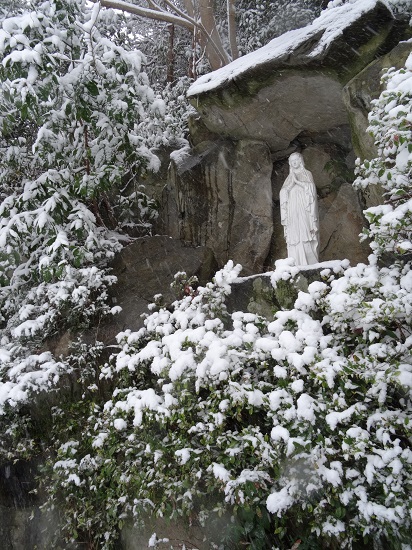 ４５年ぶりの大雪でした！