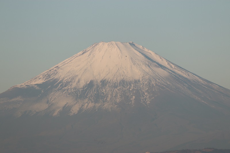 聖園から見える風景