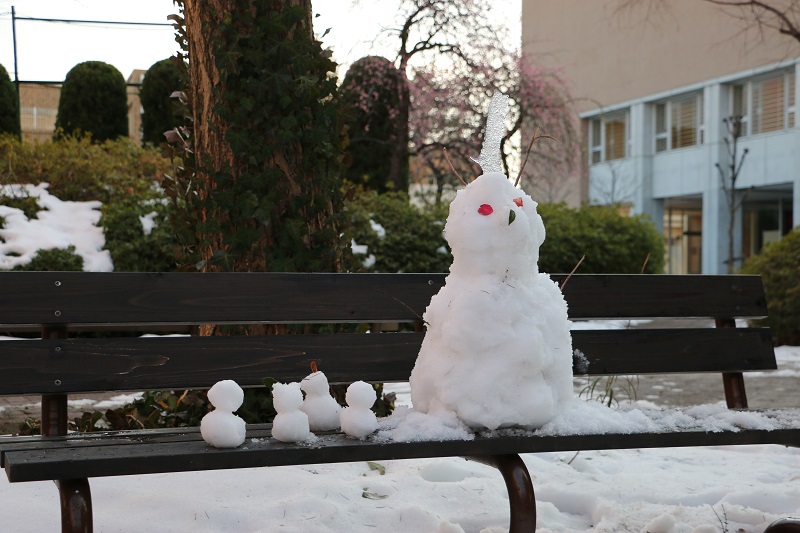 大雪から春のきざし。