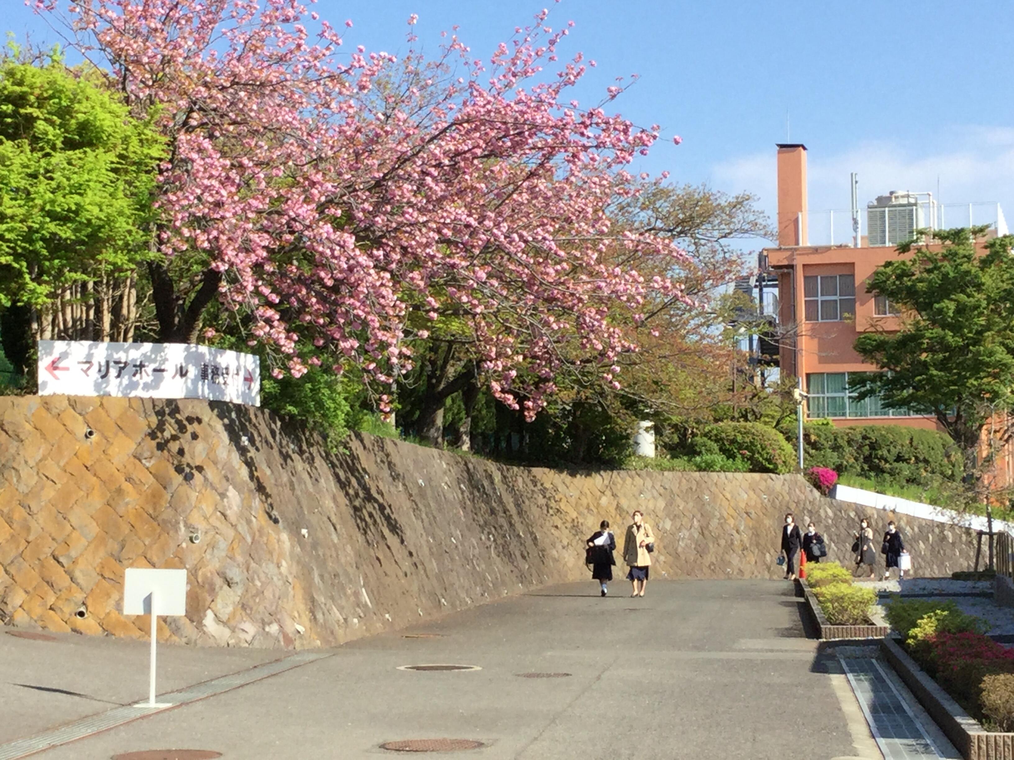 76回生の「入学式」を行いました☆