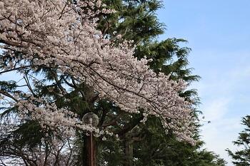 聖園の春休み