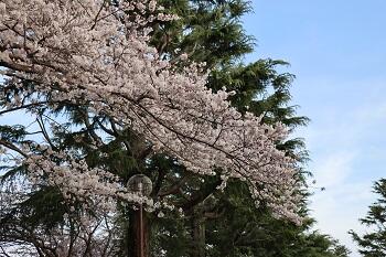 聖園の春休み