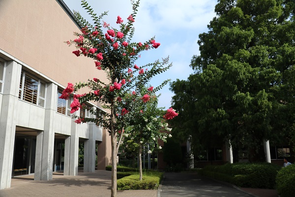 「晩夏の候」８月になりました！