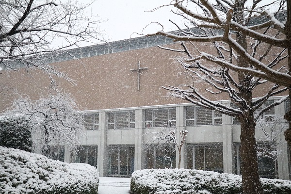 雪景色！