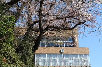 4月7日 入学式実施について
