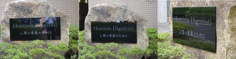 VOX#108_HominisDignitati.jpg