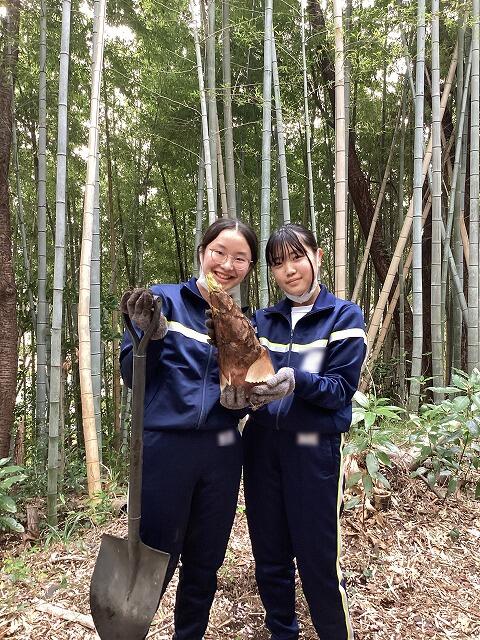 タケノコ掘り3.jpg