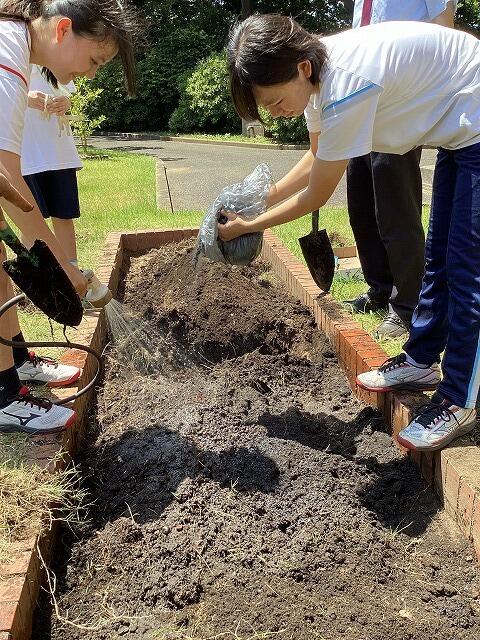 竹炭を花壇へ2.jpg