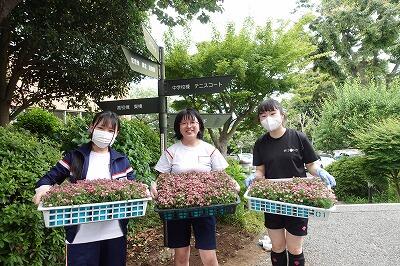 ぼかし1.jpg