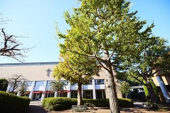 【中学】12月2日（水）特待適性検査型入試説明会のお知らせ