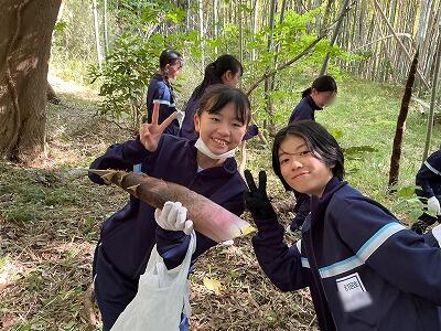 MISONO竹林プロジェクト