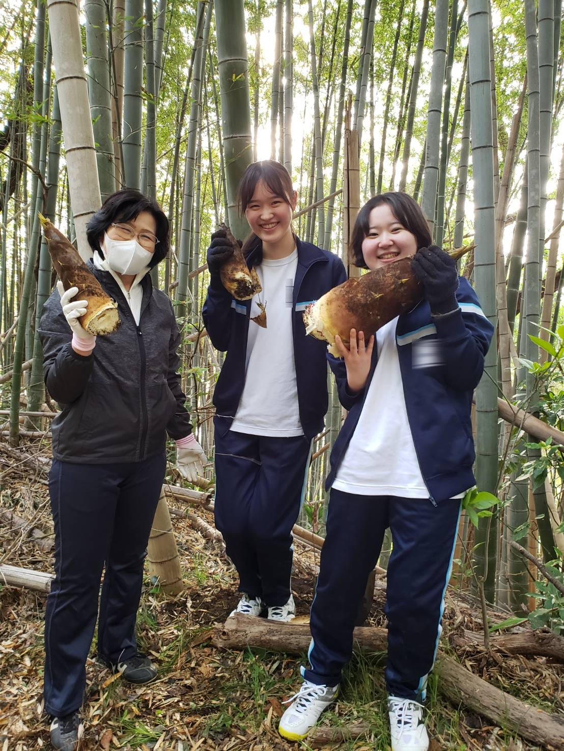 MISONO竹林プロジェクトがはじまりました！