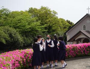 聖園の丘は、教材の宝庫です