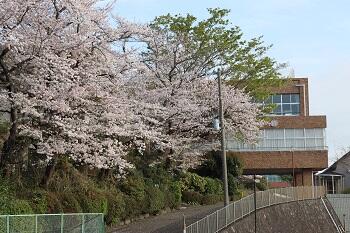 【中学】3月28日（金）春休み校内見学会を開催します！