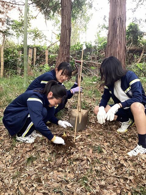 タケノコ掘り1.jpg
