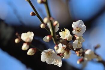 2026年度中学入試結果