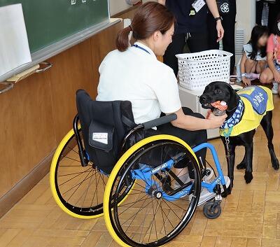 介助犬（ぼかし済）.jpg