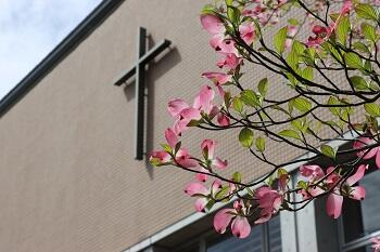 【中学】4月19日（土）オンライン学校説明会