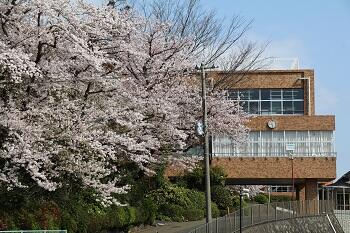 【中学】3月27日（金）春休み校内見学会を開催します！