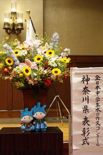 DSC02528.JPG