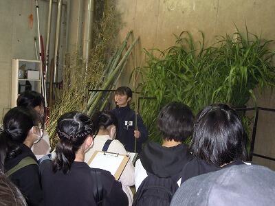DSCN4524.jpg