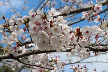 2025年度大学合格実績（抜粋）