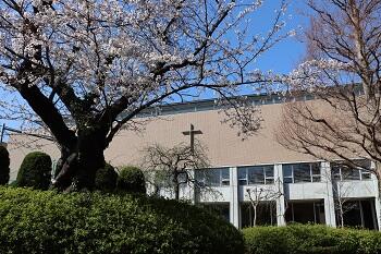 【中学】3月29日（金）お花見校内見学会を開催します！