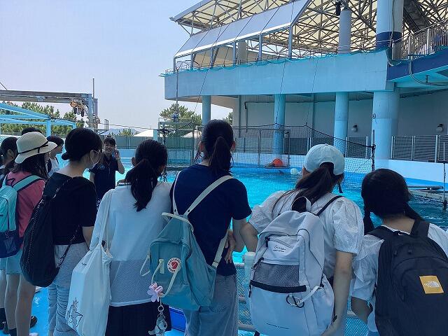 夏期講習① 横浜・八景島シーパラダイス