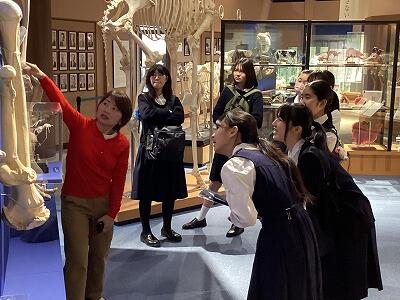 高2生物 春期講習「麻布大学 いのちの博物館」