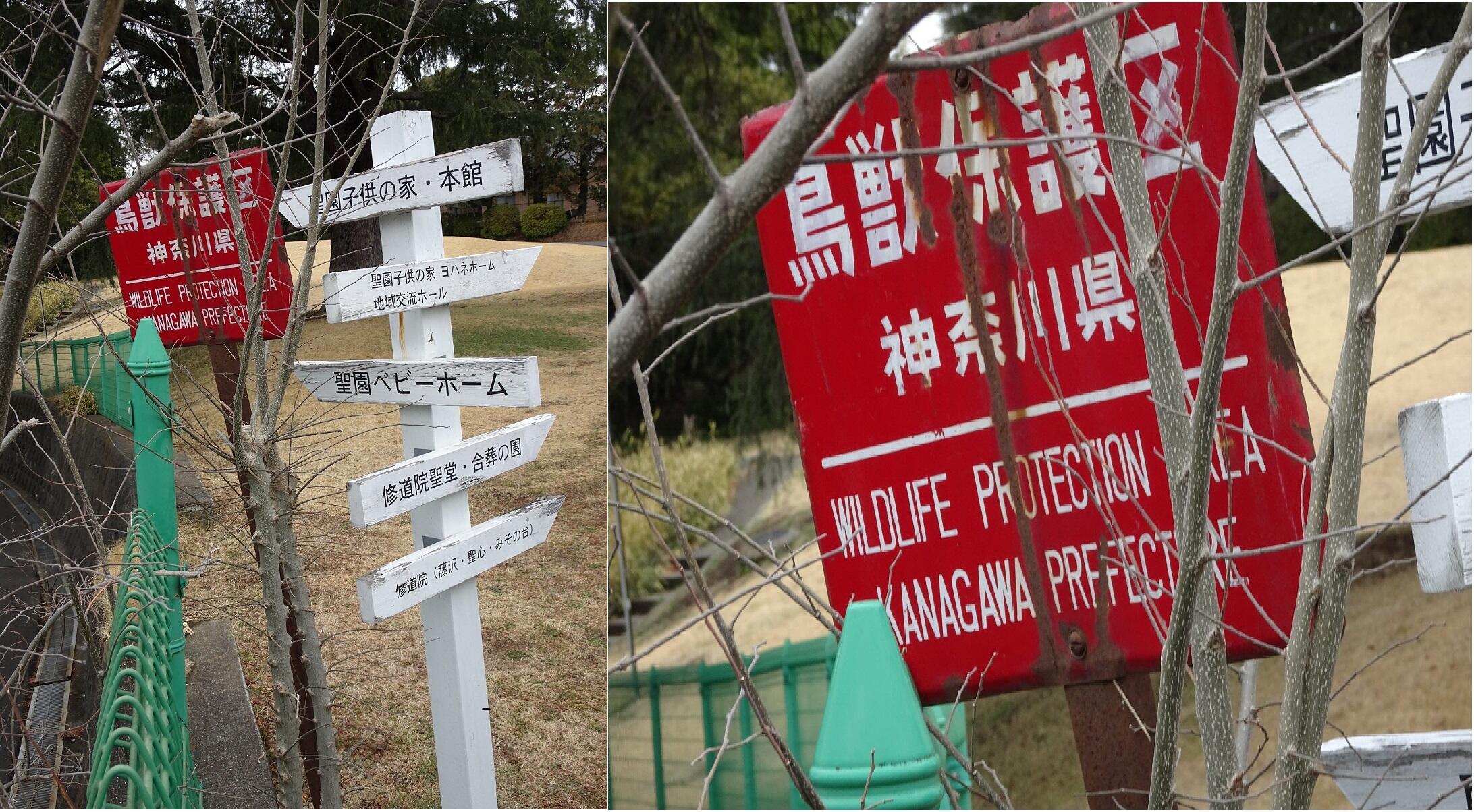 校長の声『エデンの園』