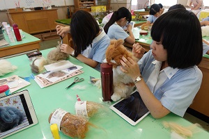 聖園生の夏休み